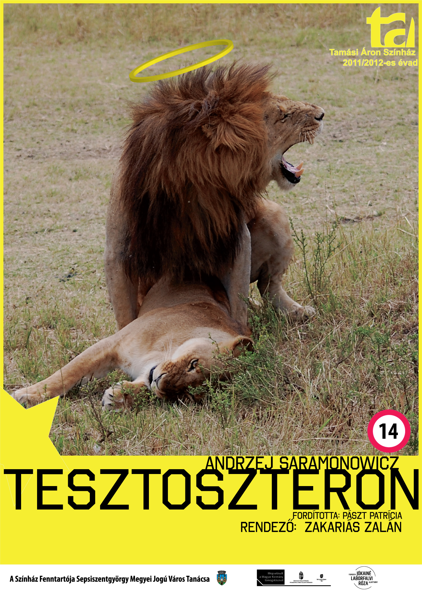 Tesztoszteron